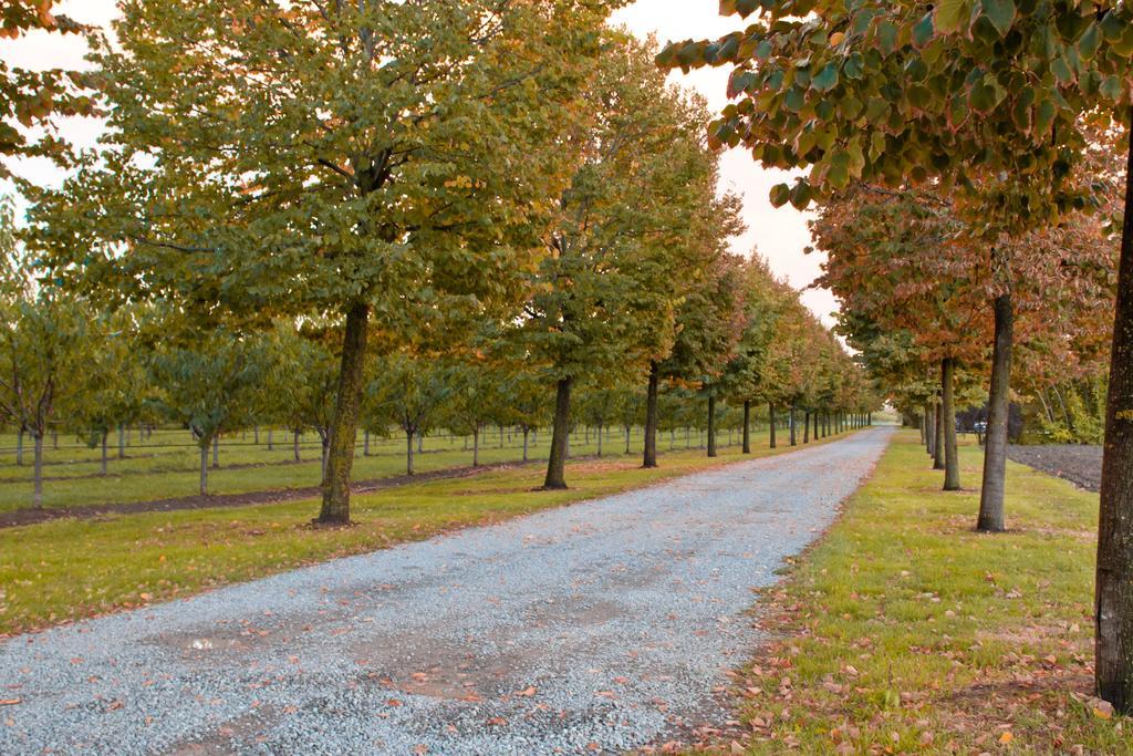 Agriturismo La Lupa Madonna della Provvidenza ภายนอก รูปภาพ