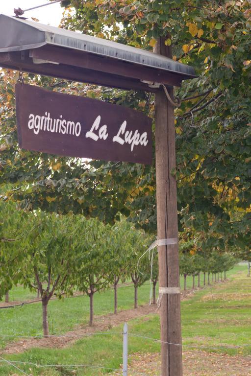 Agriturismo La Lupa Madonna della Provvidenza ภายนอก รูปภาพ